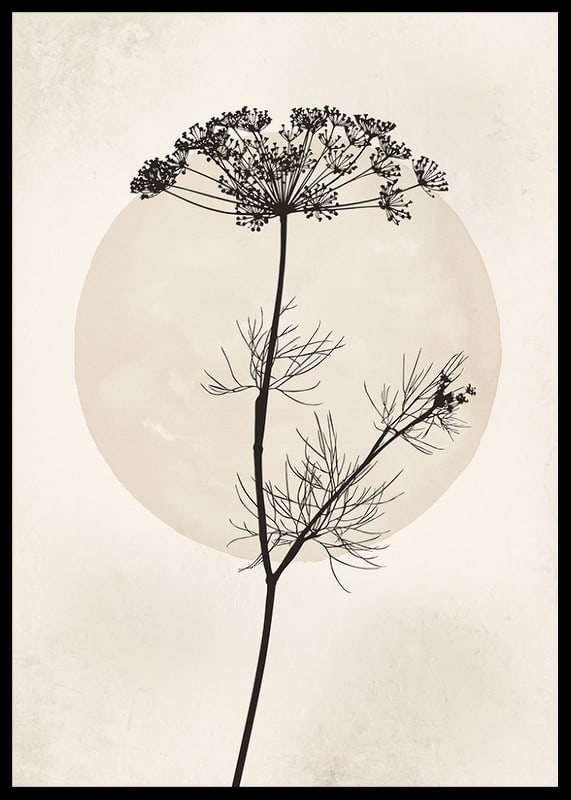 Black silhouette of dried flower against beige circle-12