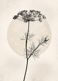 Black silhouette of dried flower against beige circle-7
