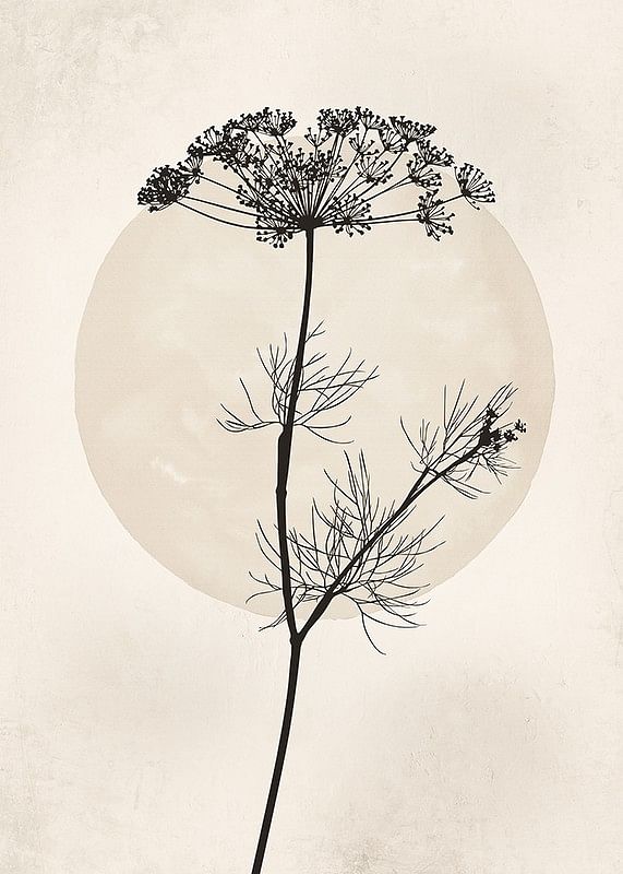 Dried Flower Silhouette-12