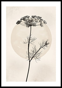 Black silhouette of dried flower against beige circle-0