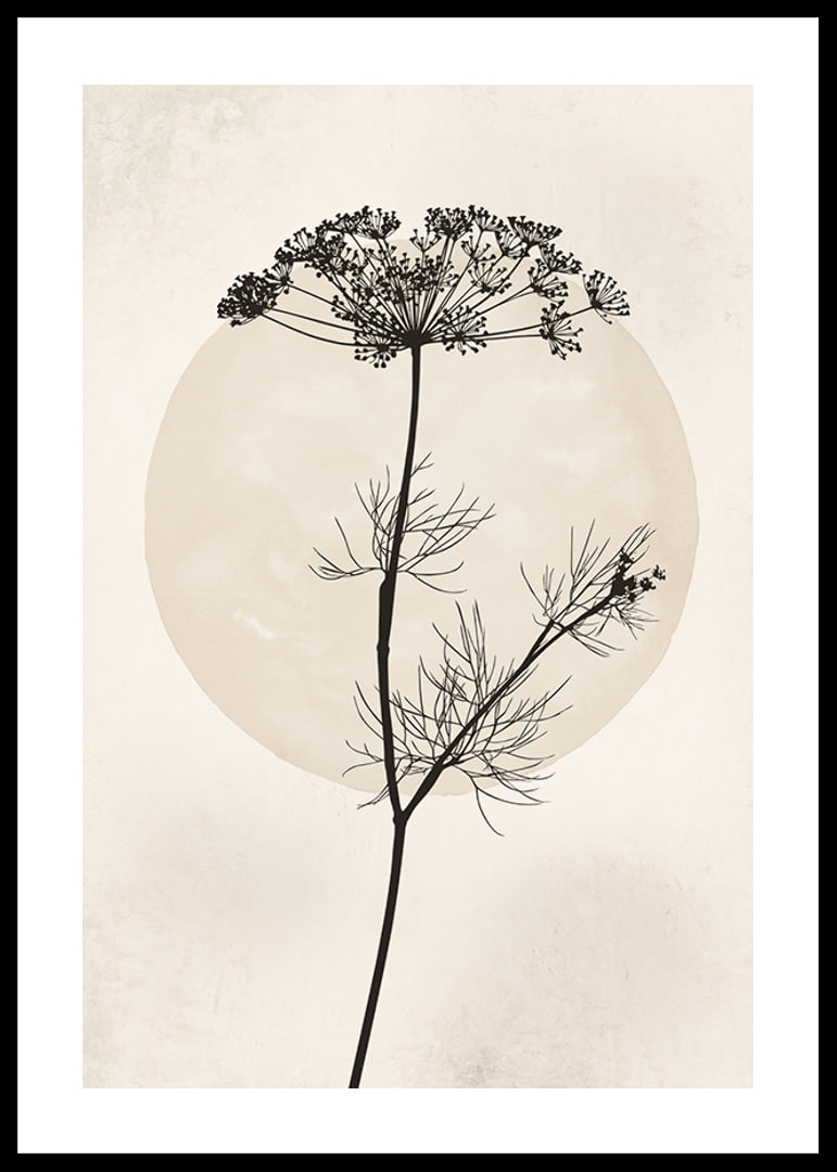 Black silhouette of dried flower against beige circle-12