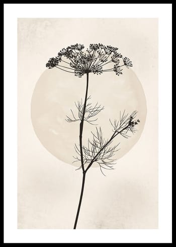 Poster Dried Flower Silhouette