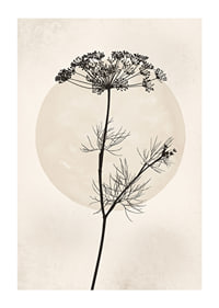 Black silhouette of dried flower against beige circle-1