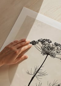 Black silhouette of dried flower against beige circle-9
