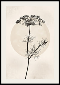 Black silhouette of dried flower against beige circle-2