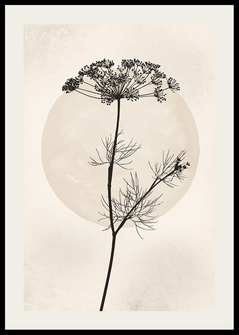 Black silhouette of dried flower against beige circle-12