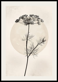 Zwart silhouet van gedroogde bloem tegen beige cirkel-2