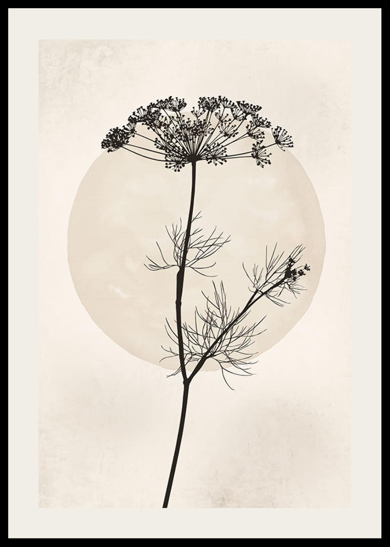 Zwart silhouet van gedroogde bloem tegen beige cirkel-12