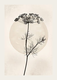Black silhouette of dried flower against beige circle-3