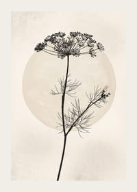 Zwart silhouet van gedroogde bloem tegen beige cirkel-3