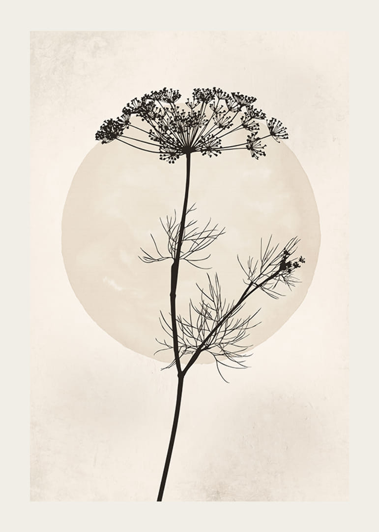 Zwart silhouet van gedroogde bloem tegen beige cirkel-12