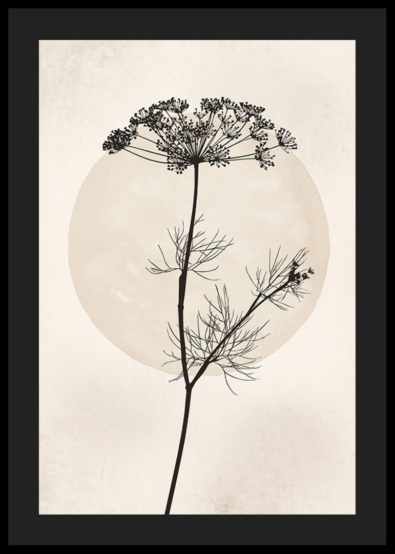 Black silhouette of dried flower against beige circle-12