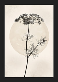 Black silhouette of dried flower against beige circle-5