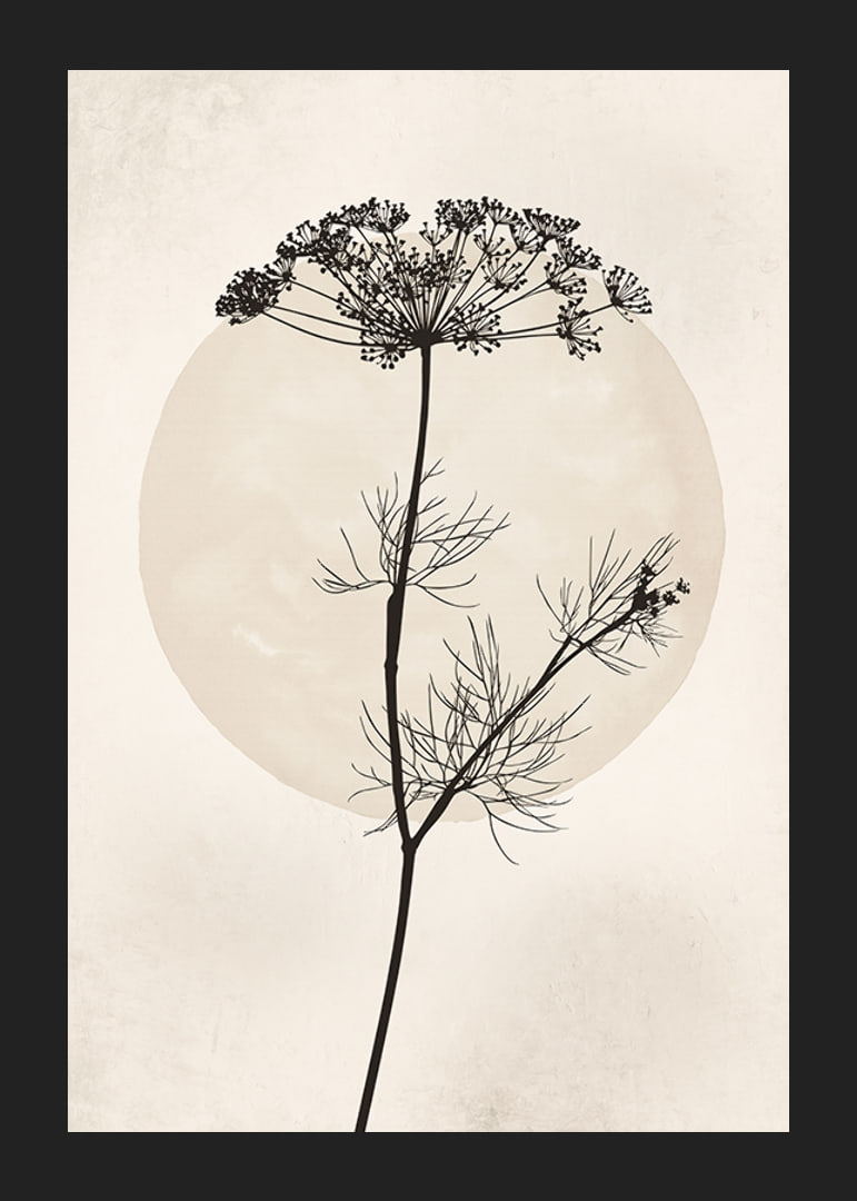 Black silhouette of dried flower against beige circle-12