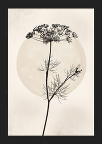 Zwart silhouet van gedroogde bloem tegen beige cirkel-5