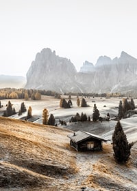 Fotografie einer Almwiese mit Hütte, Bäumen und Dolomiten im Morgenlicht-7