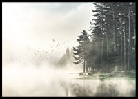 Fotografia lesa pri jazere s lietajúcimi vtákmi v hmle-6