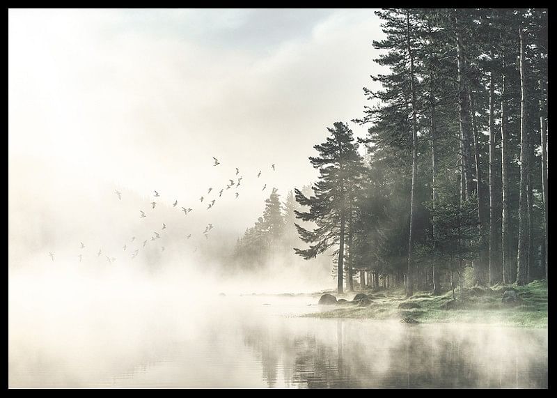 Birds In Nature-12