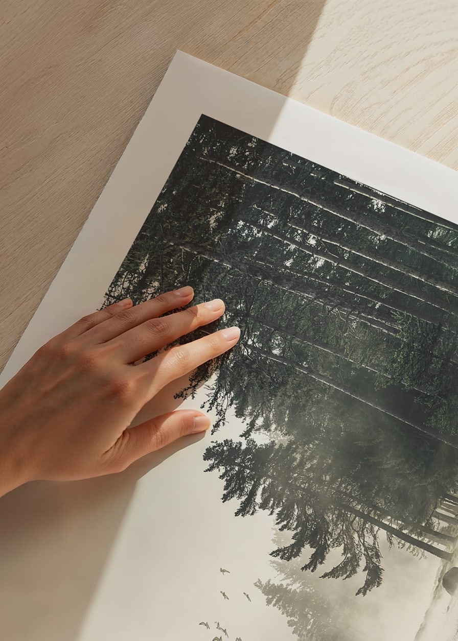 Fotografia lesa pri jazere s lietajúcimi vtákmi v hmle-12