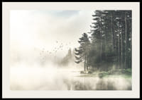 Photographie d'une forêt au bord d'un lac avec des oiseaux en vol dans le brouillard-2