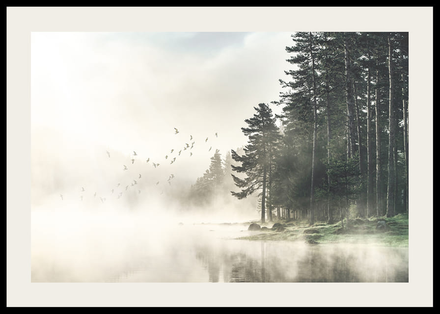 Photographie d'une forêt au bord d'un lac avec des oiseaux en vol dans le brouillard-12