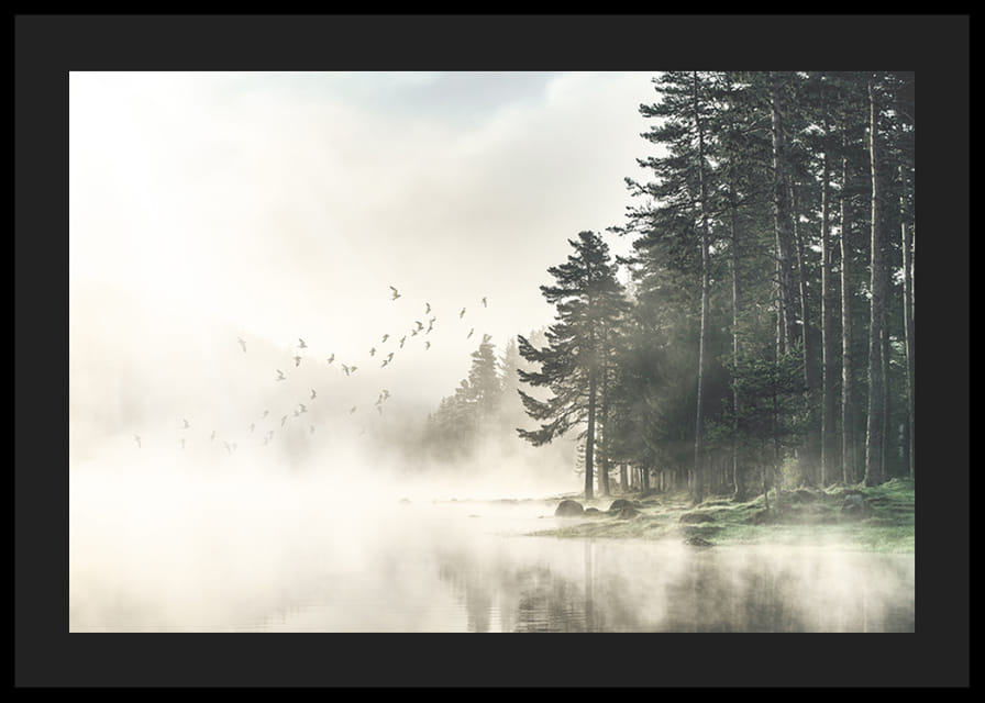 Photographie d'une forêt au bord d'un lac avec des oiseaux en vol dans le brouillard-12