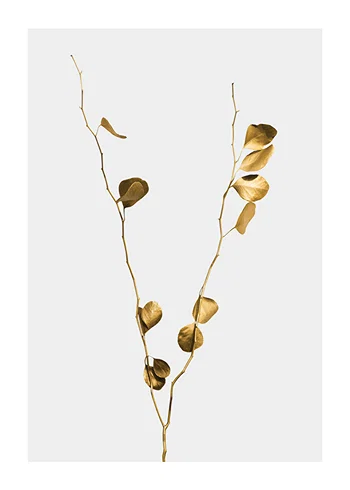 Poster Eucalyptus Gold No1
