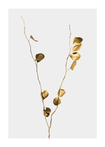 Poster Eucalyptus Gold No1