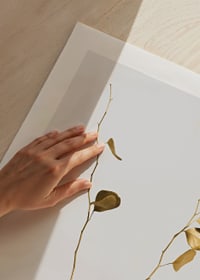 Zeltaini nokrāsotu eikalipta zaru fotogrāfija uz gaiša fona-9