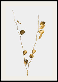 Fotografi av guldtonade eukalyptusgrenar mot ljus bakgrund-2