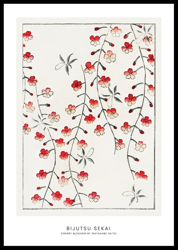 Fleurs de cerisier illustrées en rouge et blanc par Watanabe Seitei-12
