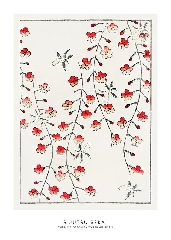 Fleurs de cerisier illustrées en rouge et blanc par Watanabe Seitei-12