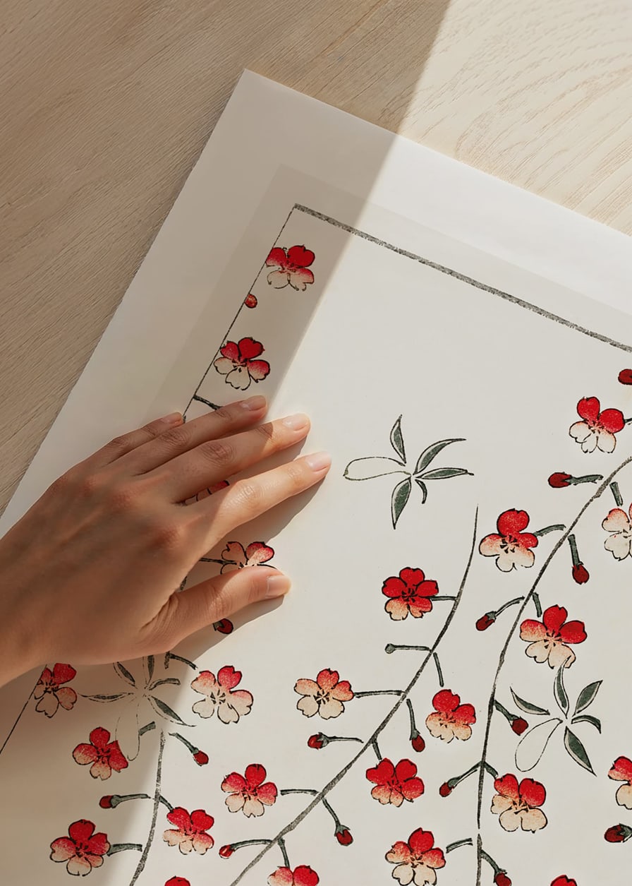 Fleurs de cerisier illustrées en rouge et blanc par Watanabe Seitei-12