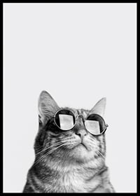Black and white close-up of cat with sunglasses against light background-6
