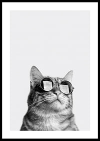 Black and white close-up of cat with sunglasses against light background-0