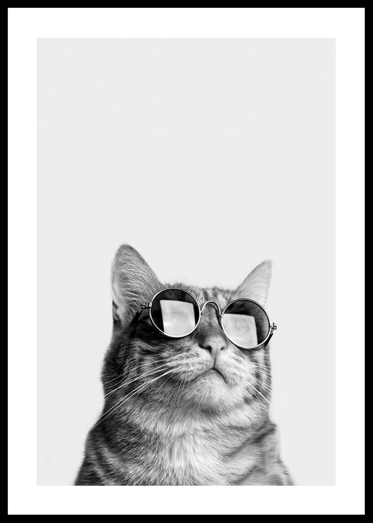 Black and white close-up of cat with sunglasses against light background-12