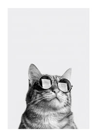 Black and white close-up of cat with sunglasses against light background-1