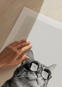 Cat With Shades-5