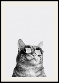 Black and white close-up of cat with sunglasses against light background-2