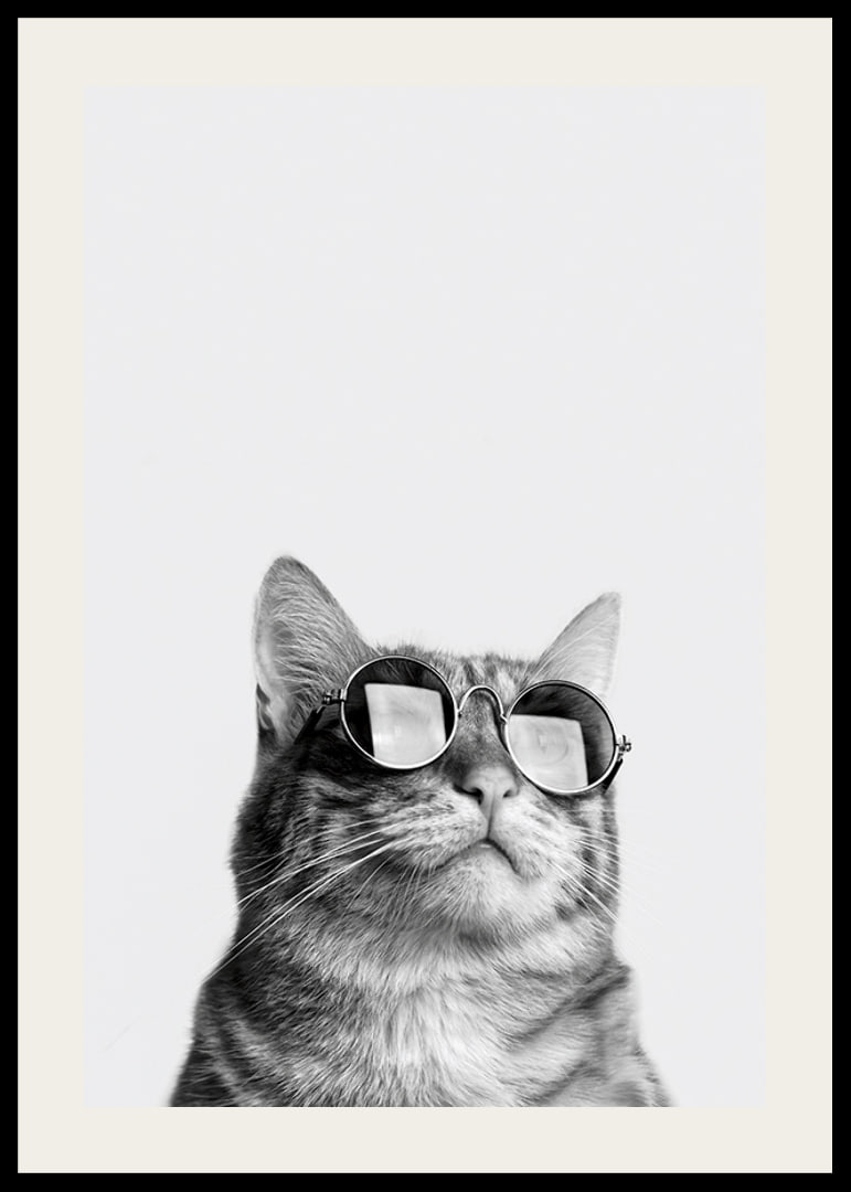 Black and white close-up of cat with sunglasses against light background-12