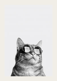 Black and white close-up of cat with sunglasses against light background-3