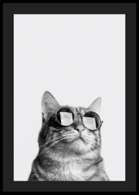Black and white close-up of cat with sunglasses against light background-4