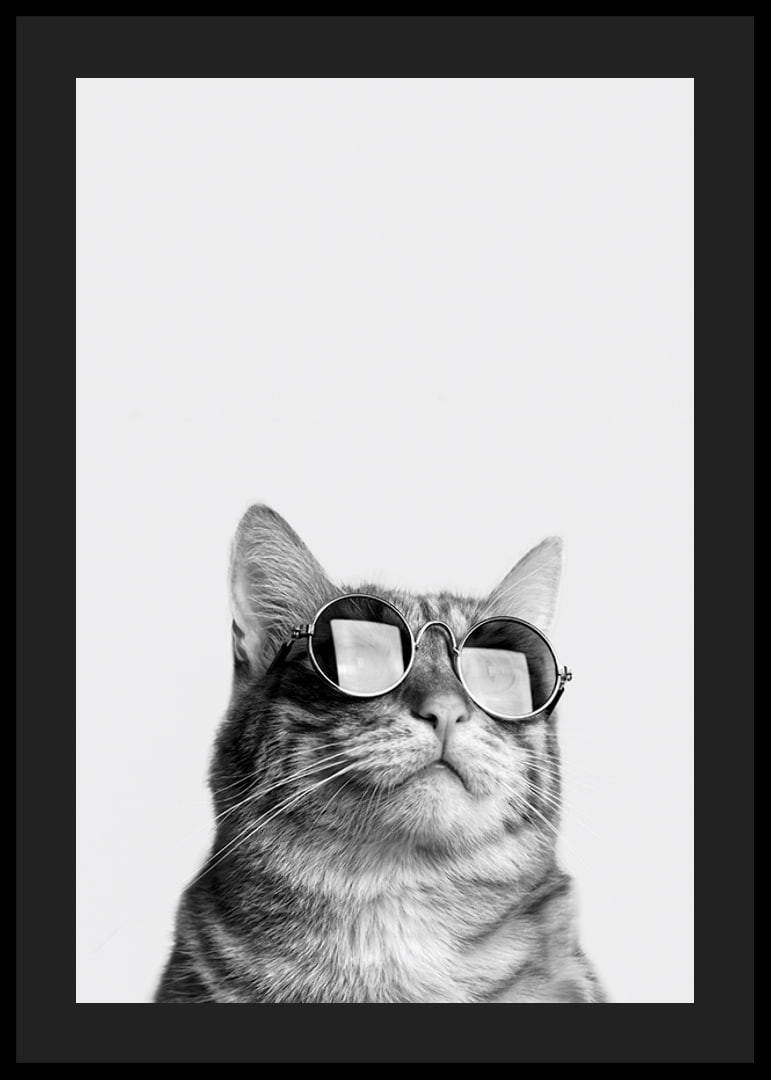 Black and white close-up of cat with sunglasses against light background-12