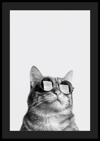 Svartvit närbild av katt med solglasögon mot ljus bakgrund-4
