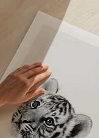 Tiger Cub-5