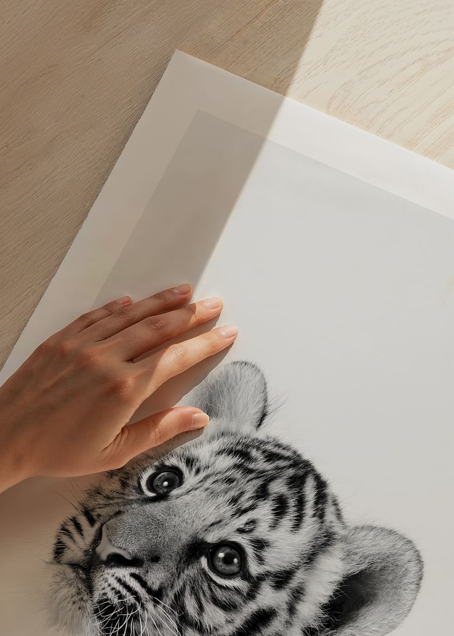 Tiger Cub-12