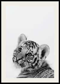 Čiernobiely detailný záber tigrieho mláďaťa na svetlom pozadí-2