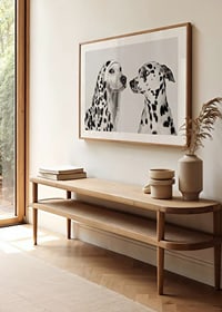 Two black and white dogs, one of which has a polka-dot hoodie-8