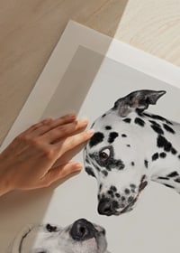 Two black and white dogs, one of which has a polka-dot hoodie-9