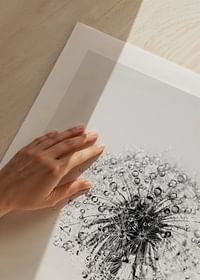 Dandelion With Dew-5